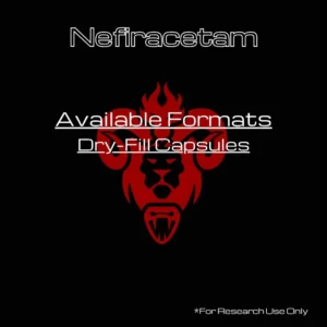Nefiracetam